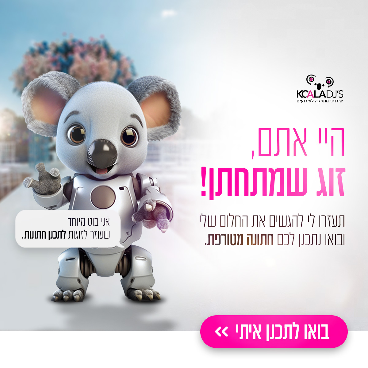 עותק של עותק של עותק של koala 2